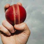 Hand holding cricket ball