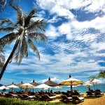 Beach with palm trees