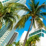 Photo of palm trees and Allen Packwood