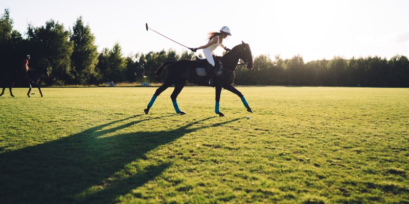 Photo of polo match