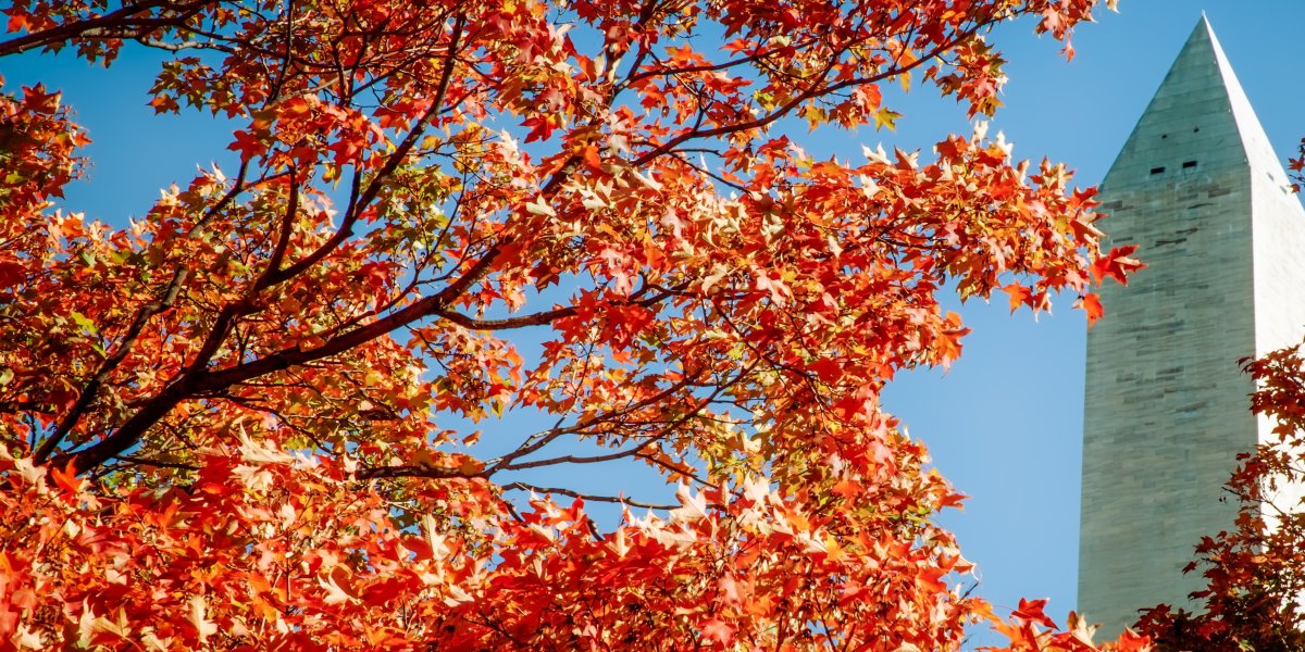 Photo of Washington DC in Autumn